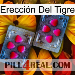 Erección Del Tigre 15